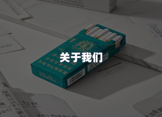 专业团队